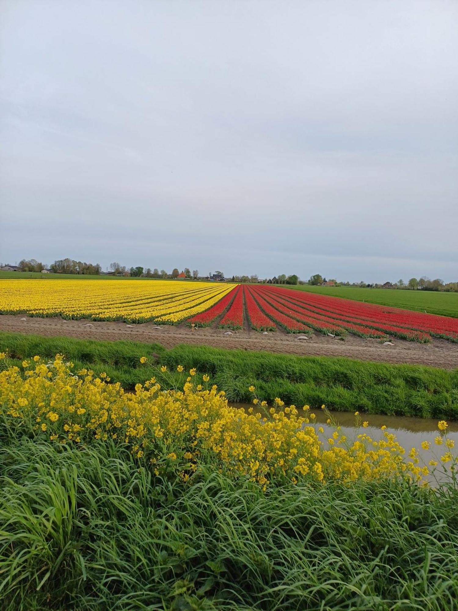Kota Wadway Villa Spanbroek Exteriör bild
