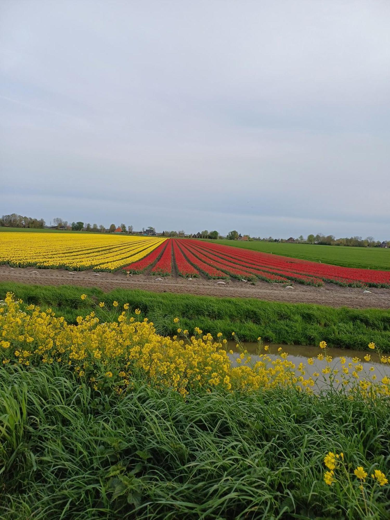 Kota Wadway Villa Spanbroek Exteriör bild