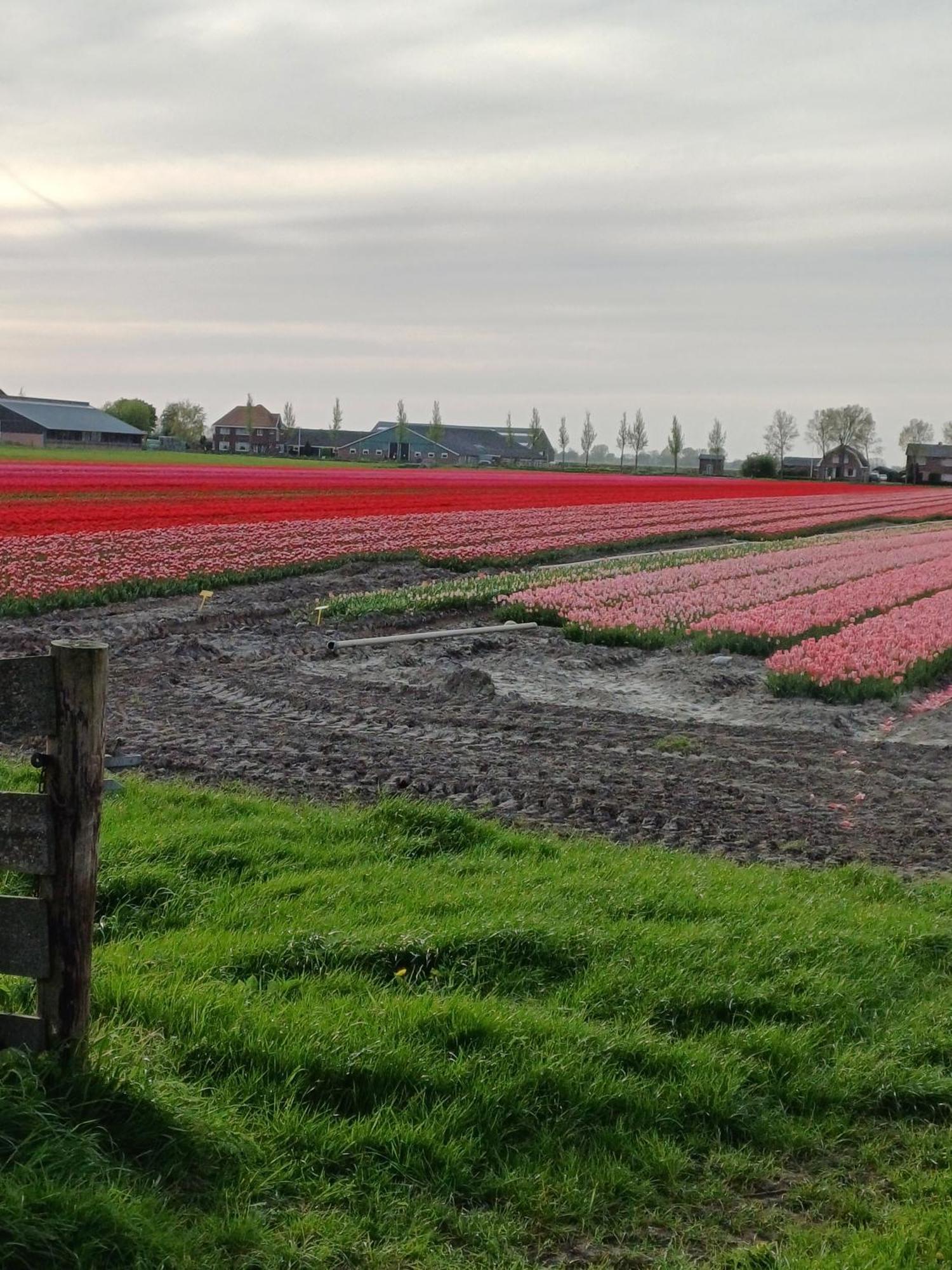 Kota Wadway Villa Spanbroek Exteriör bild